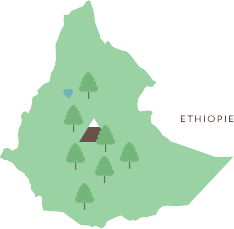 illustration Ethiopie